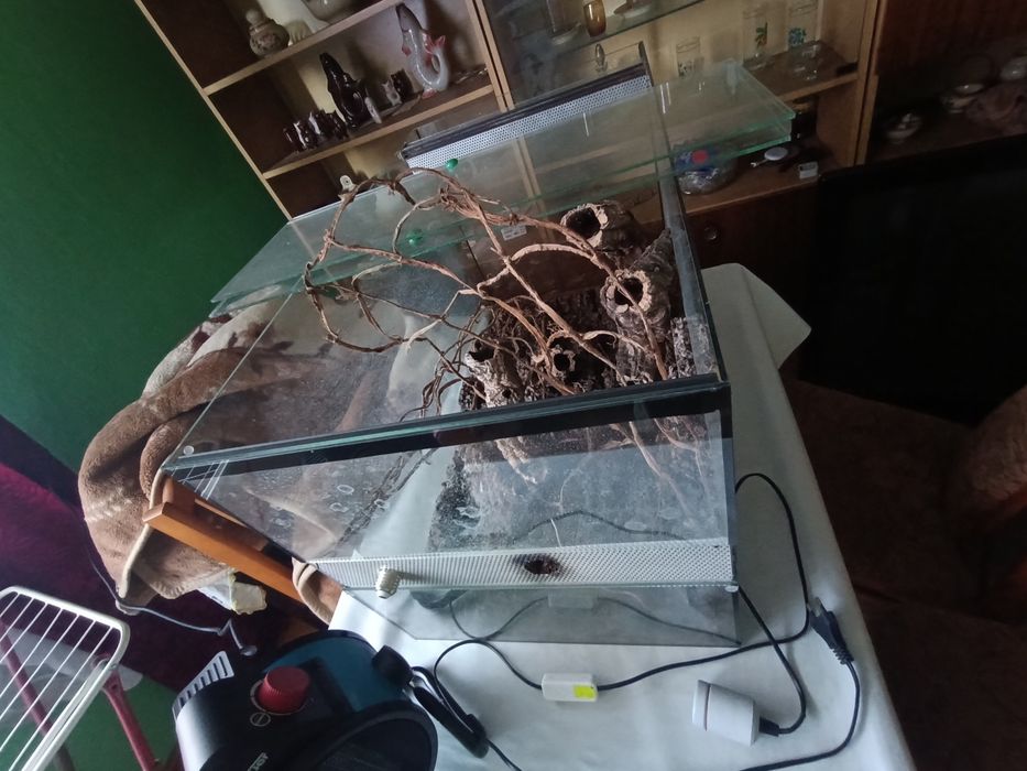 Terrarium dla węża 158 litrów
