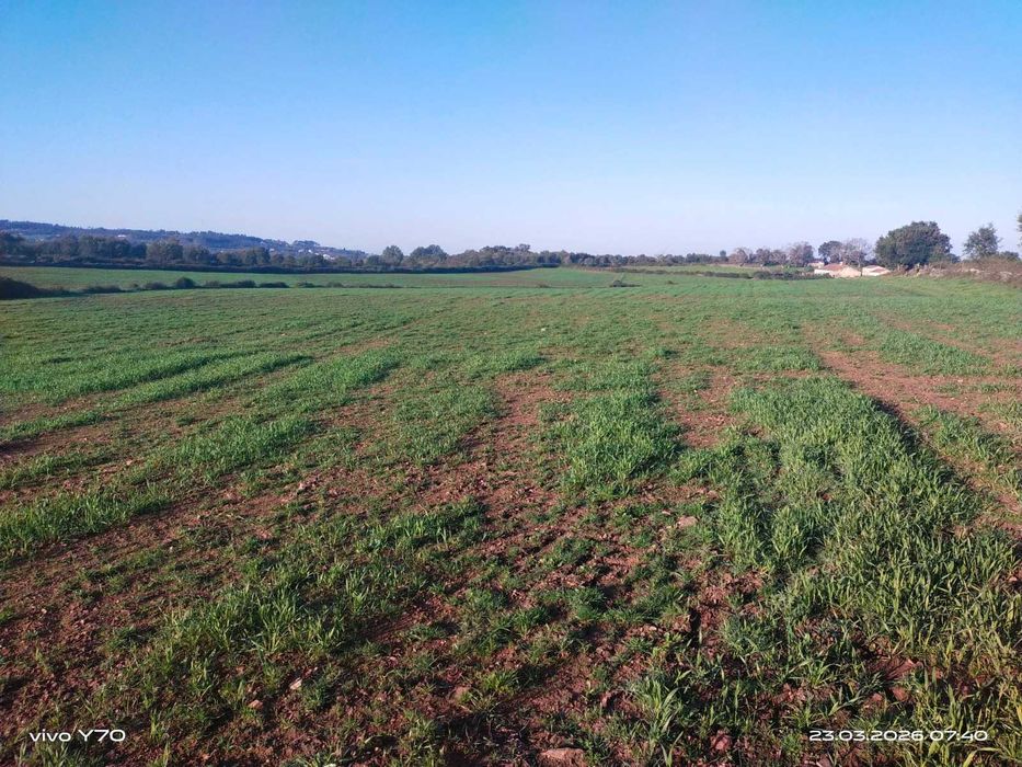 Magnífico monte/herdade, 25 hectares de pura natureza, ideal para quem procura tranquilidade/investimento