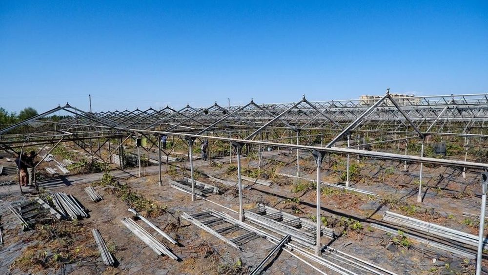 Szklarnia ukrainka, bułgarka. Skup z rozbiórki. Rozbiórka.