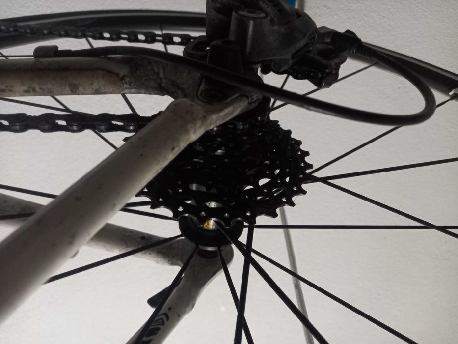 Bicicleta ciclismo Scott