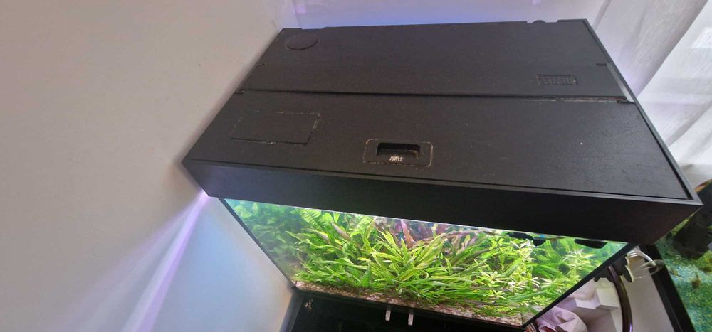 Akwarium Juwel 120 litrów komplet z szafką stan bdb + życie