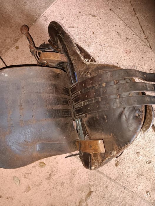 Vendo arreio de campino