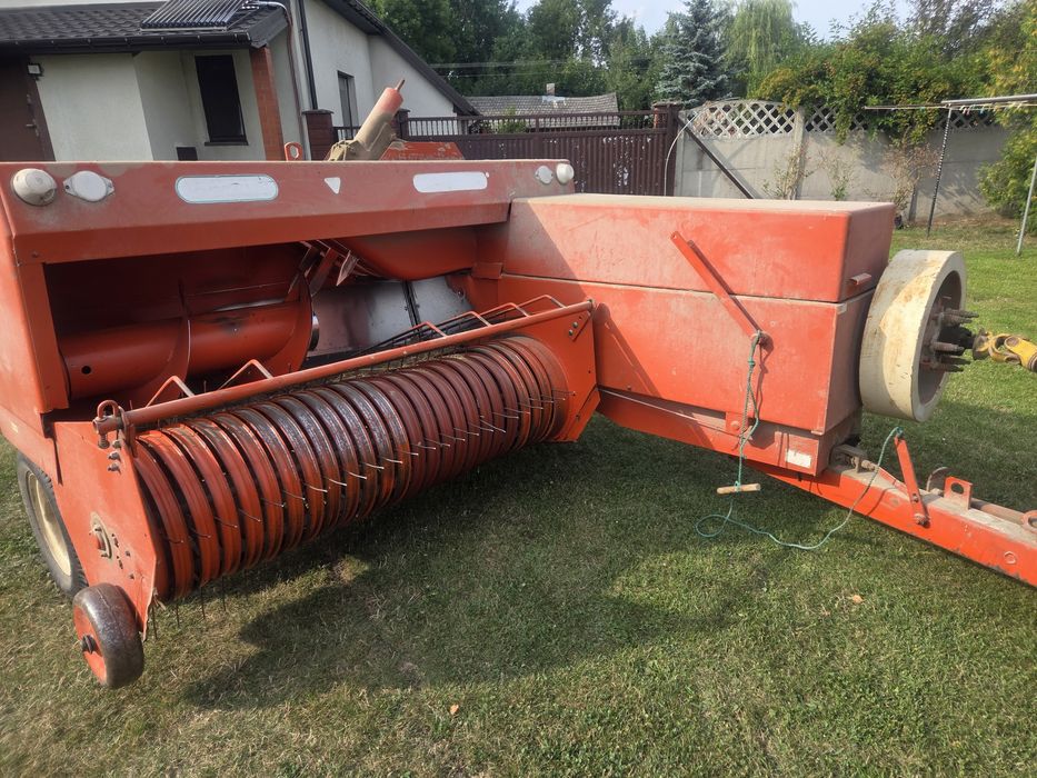 Sprzedam Prase SIPMA 224