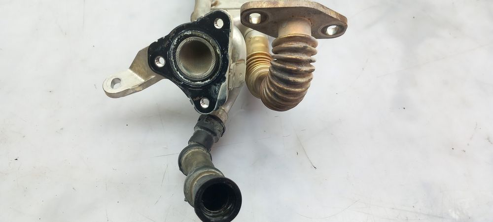 Radiador de gases / EGR RENAULT Megane IV Grandtour (K9A/M_)