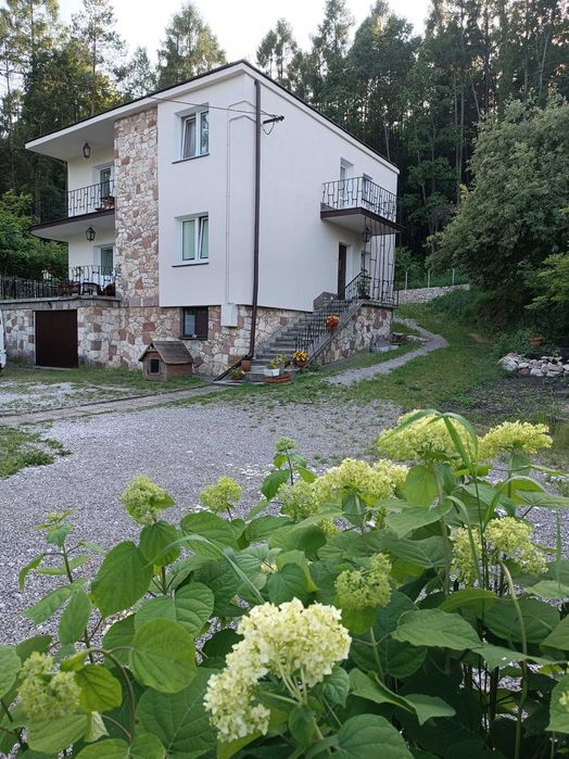 Noclegi Bobrza*Miedziana Góra*Ćmińsk*Chęciny*Nowiny*Kielce