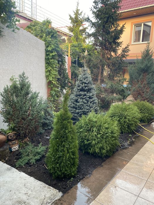 Аренда банкетного зала