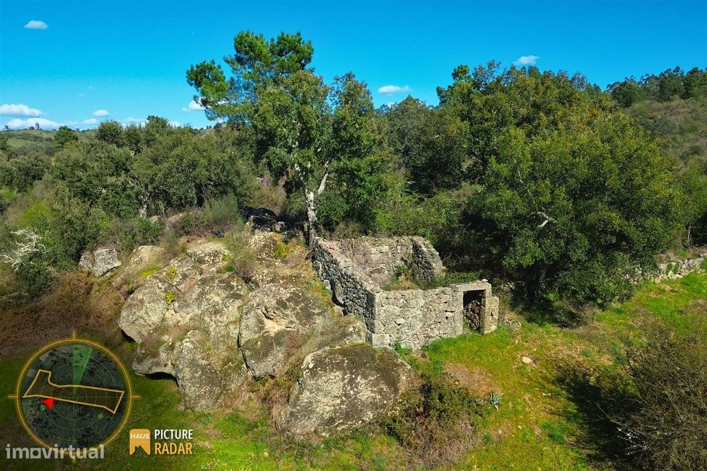 Terreno 1.1ha com Ruína e Vale Fértil | Cafede, Castelo Branco