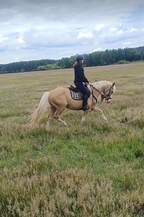 Barbi do dzierżawy.