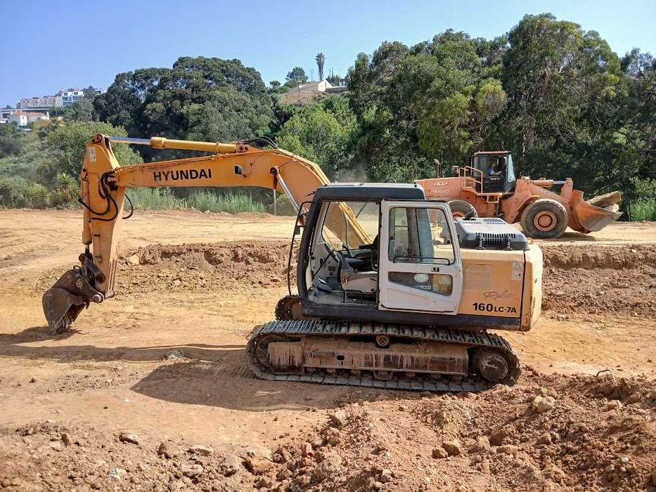 Limpeza de Terrenos Agrícolas e Florestais – Corte/Remoção de Árvores
