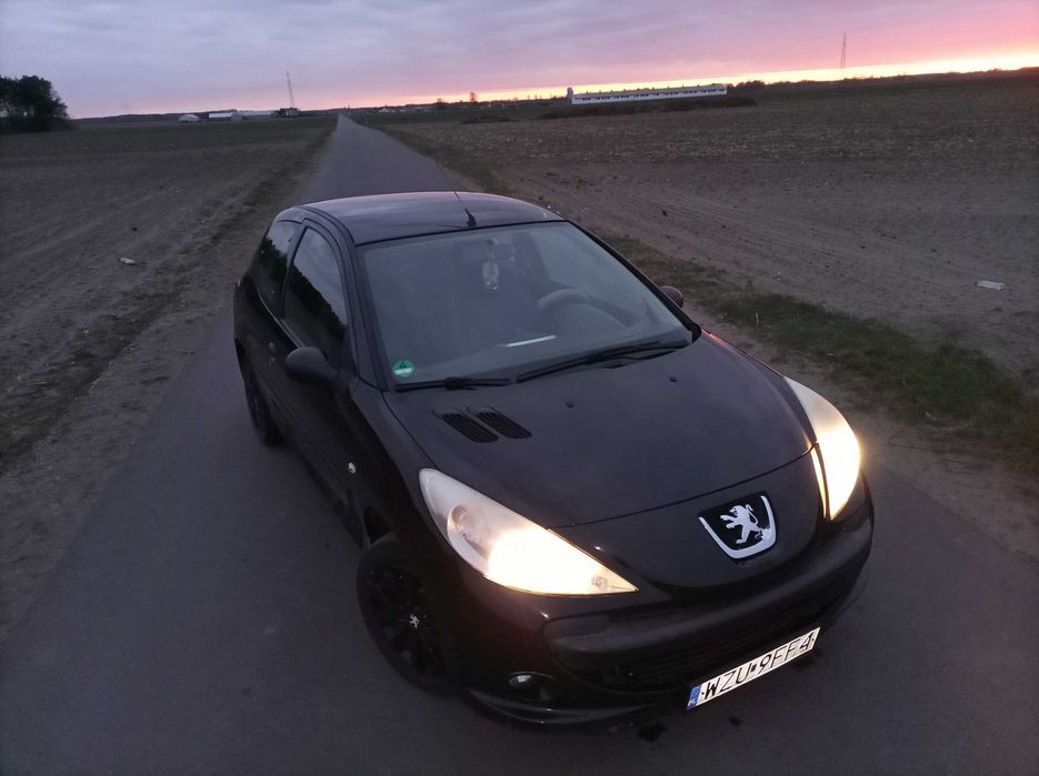 Peugeot 206+ 2010 1.4 benzyna