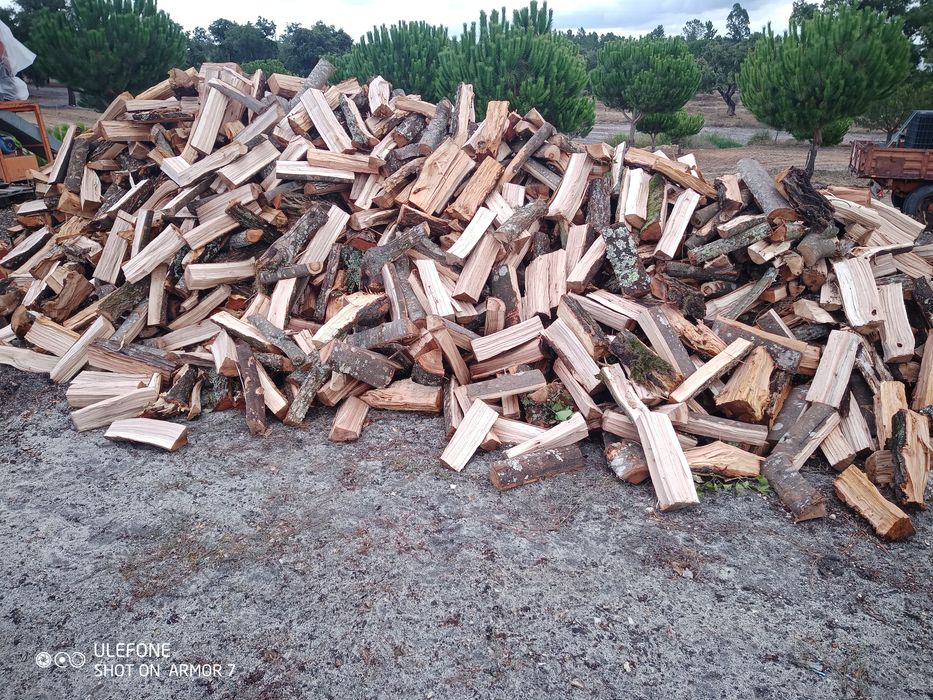 Lenha de Acácia e lenha de pinho