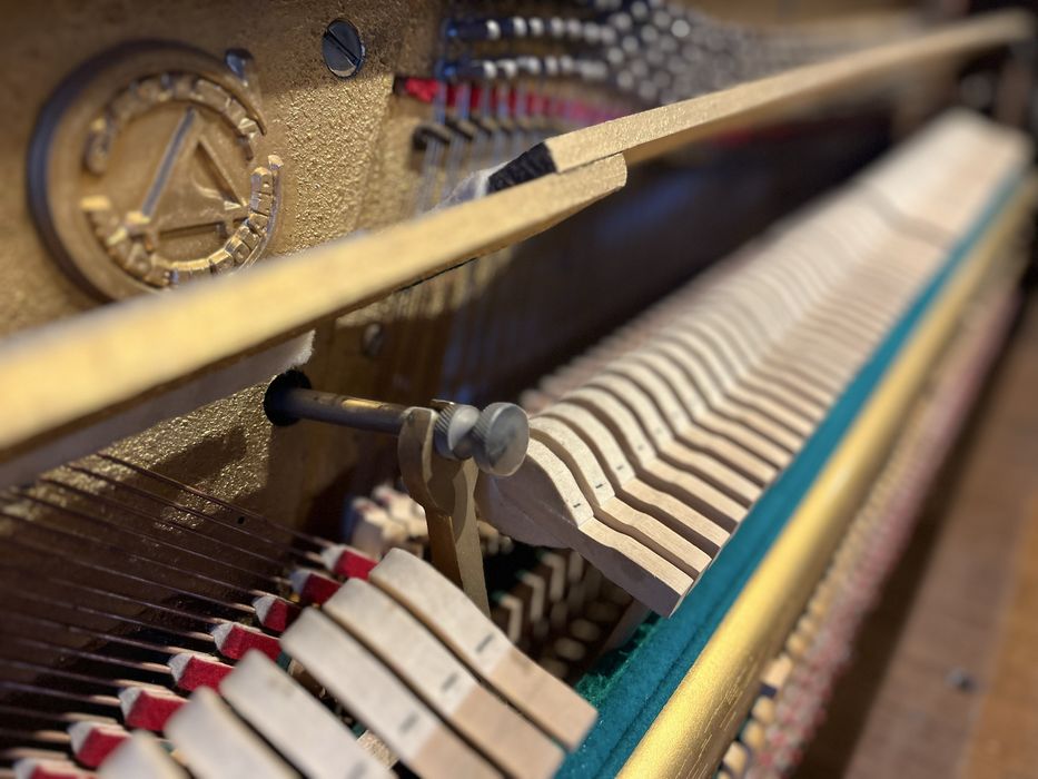 Pianino Calisia, Polska Produkcja, fortepianowe brzmienie.
