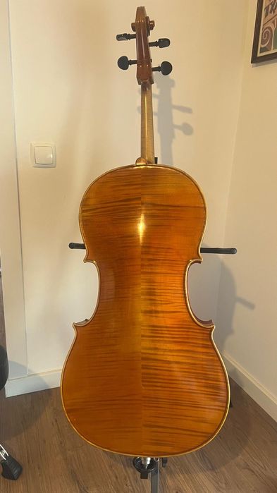 Violoncelo profissional