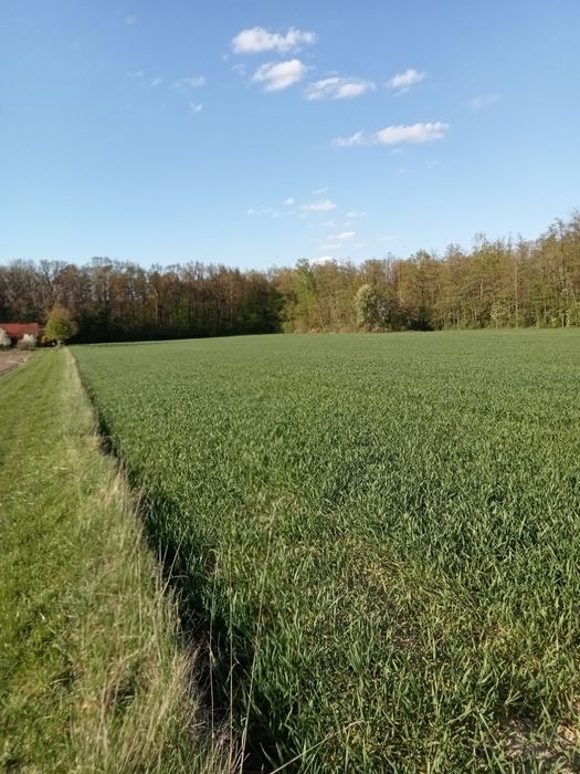 Działka budowlana