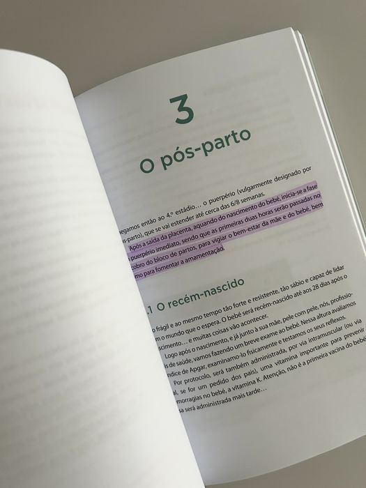 Livro Estamos gravidos! E agora?