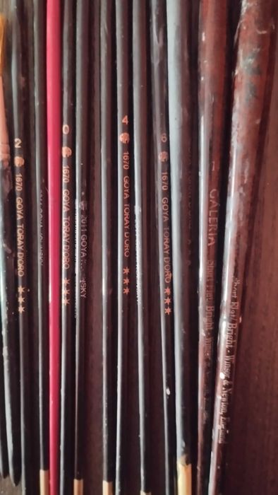 16 Pincéis Goya e Winsor & Newton