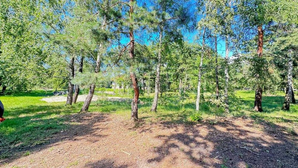 Продаж ділянки, 200 соток, с. Романків, Обухівський р-н