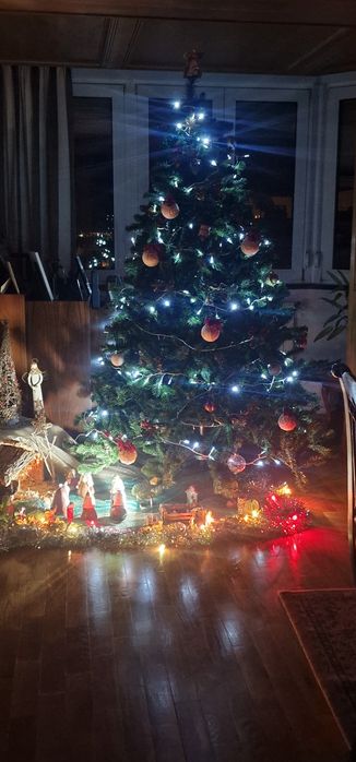Arvore de Natal Real