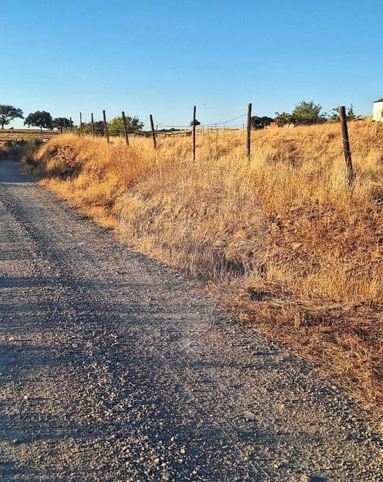 Vendo Terreno Rústico no Alentejo ( Serpa - Beja)