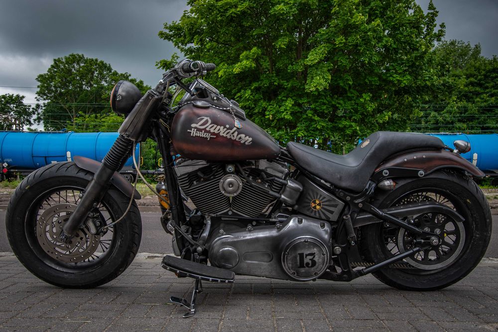 Harley-Davidson Custom, Evo, Electra, King, Dyna