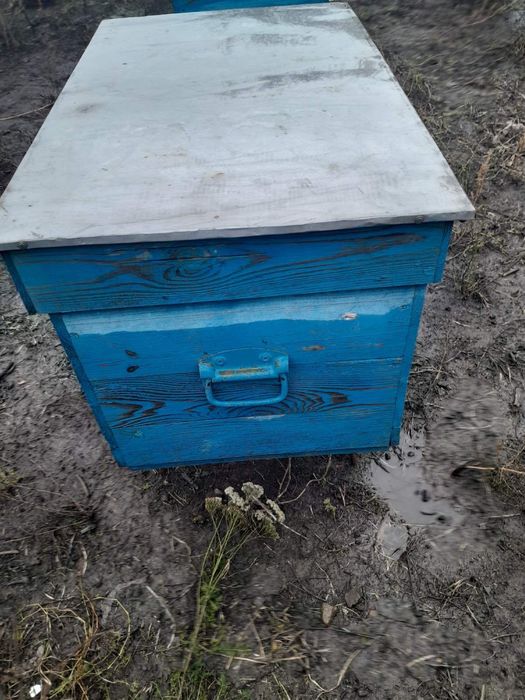 Продам вулики в гарному стані