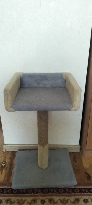 Когте точка для котів