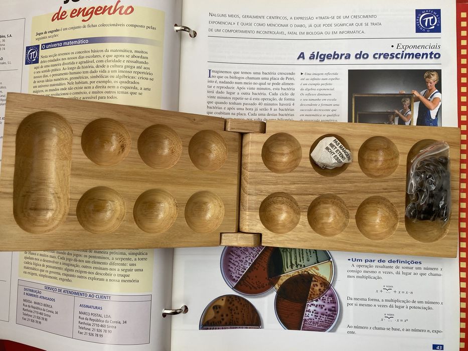 Jogos de engenho