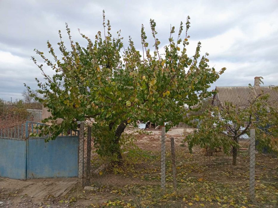 Продаю   часний дом