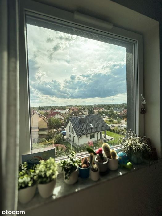 Zdjęcie 8