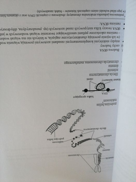 Idealne notatki do matury Biologia