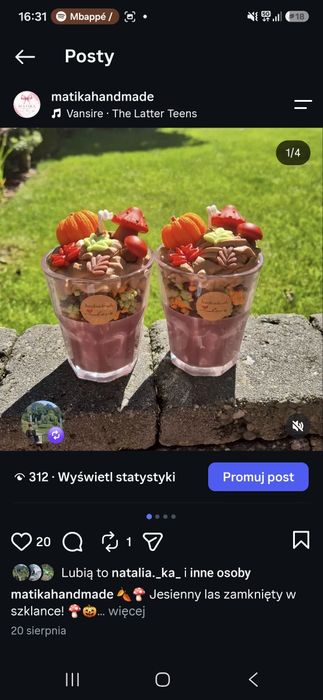 Grzybkowa ozdobna
