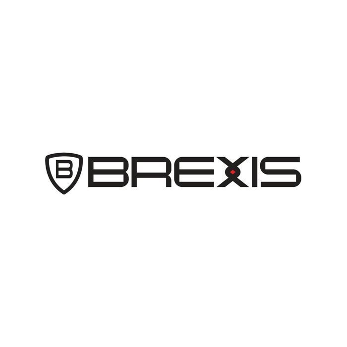 Biopaliwo do kominków BREXIS 5L 1szt