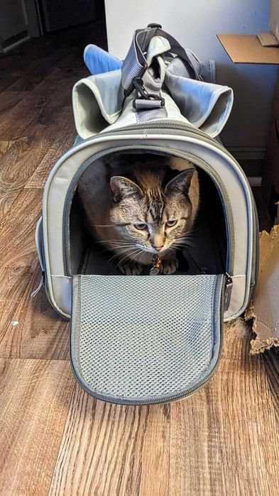 Torba transportowa transporter dla psa kota do samolotu