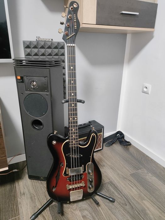 Zamienię gitary. Jolana Defil.