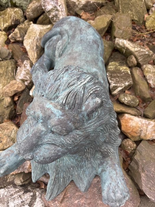 Stare lwy orientalne z brązu lew kolekcja