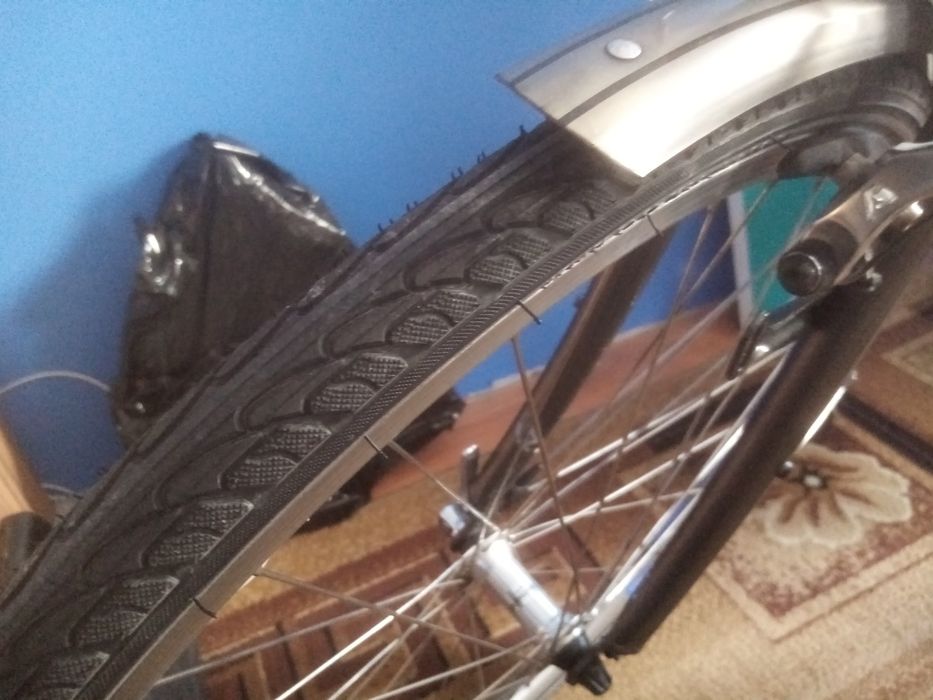 Rower męski gazelle medeo