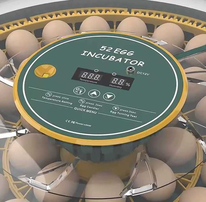 Inkubator do jaj automatyczny z wyświetlaczem wilgotności OVOstart 52