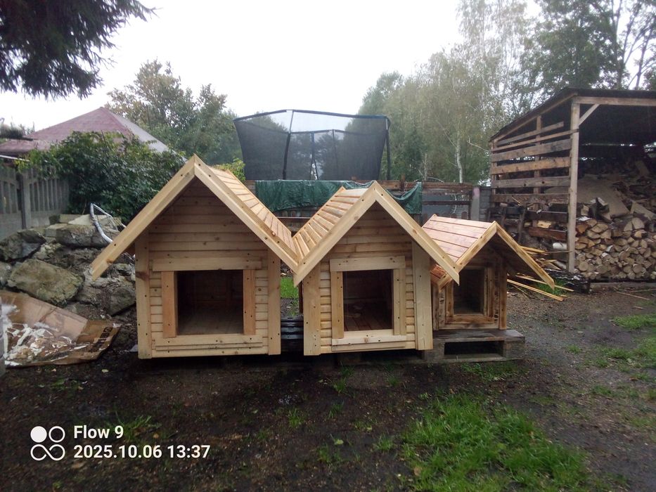 Buda dla psa TANIO SZYBKO