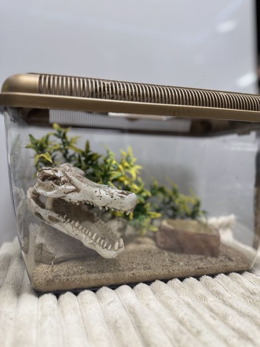 Декор в терраріум / акваріум , укриття, аксесуари