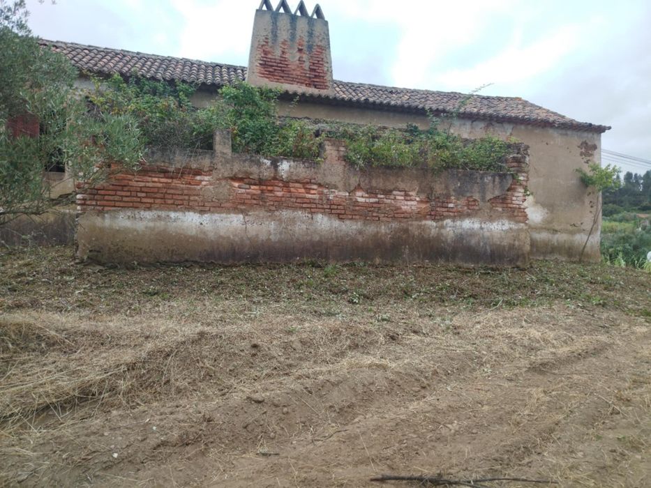 Trabalhoa silvicultura e jardinagem