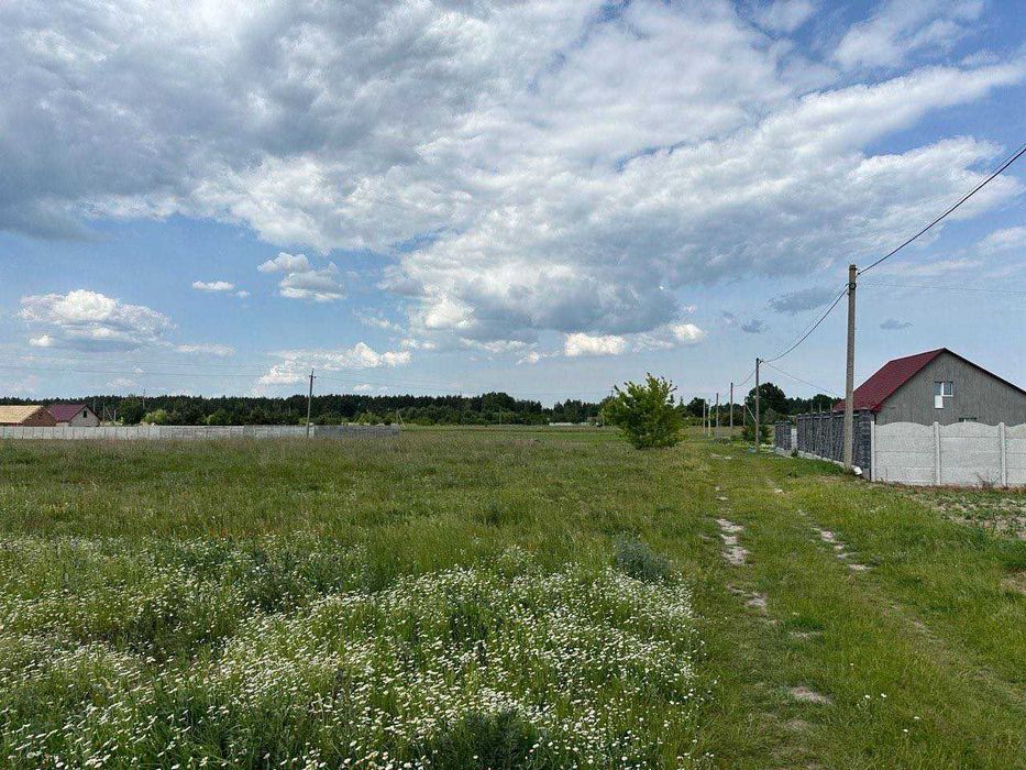 Продам земельну ділянку біля лісу!