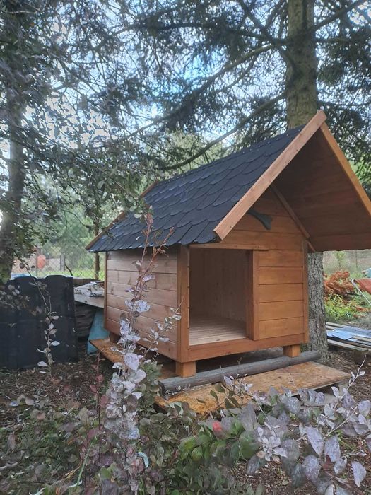 Budy dla piesków duży wybór DOSTĘPNE OD RĘKI