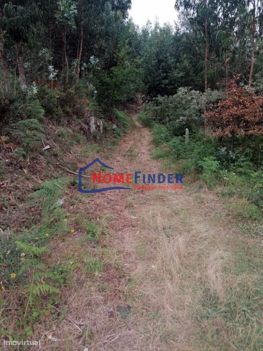 Terrenos com aprox. 2.490 m2 - Monção — Sago, Lordelo E Parada, Viana do Castelo