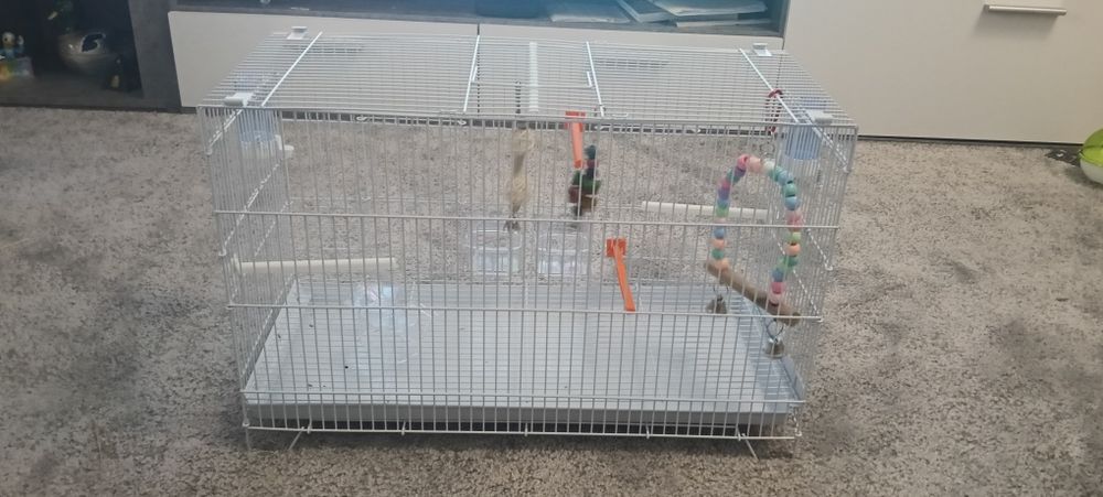 Gaiola para periquitos/ passarinhos