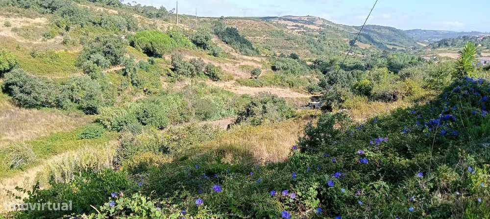 Terreno Rústico em Lisboa, Arruda dos Vinhos - €15.000 / Venda