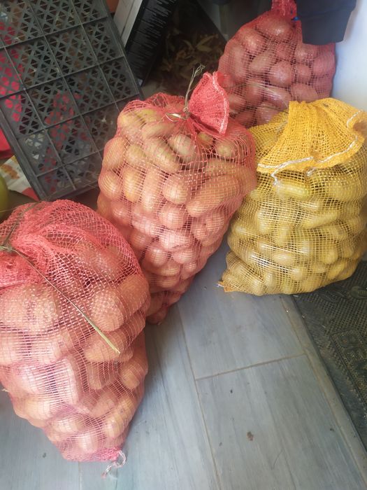 Batatas Biológicas 10 quilos  10 euros