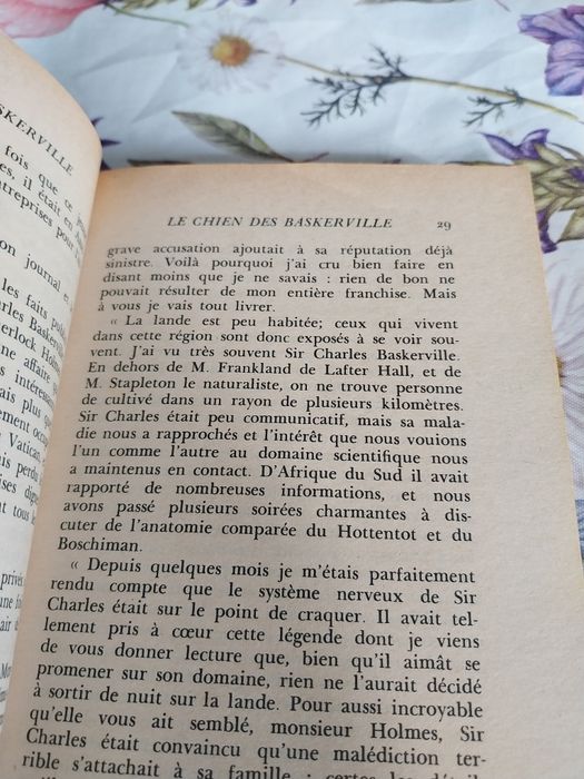 Le chien de Baskerville. Portes incluídos