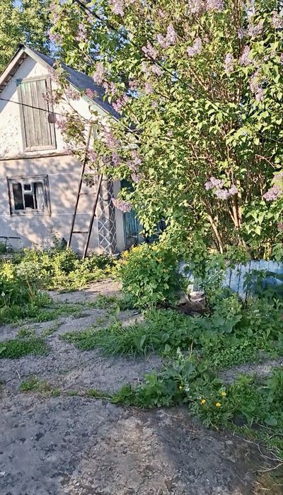 Продається половина будинку