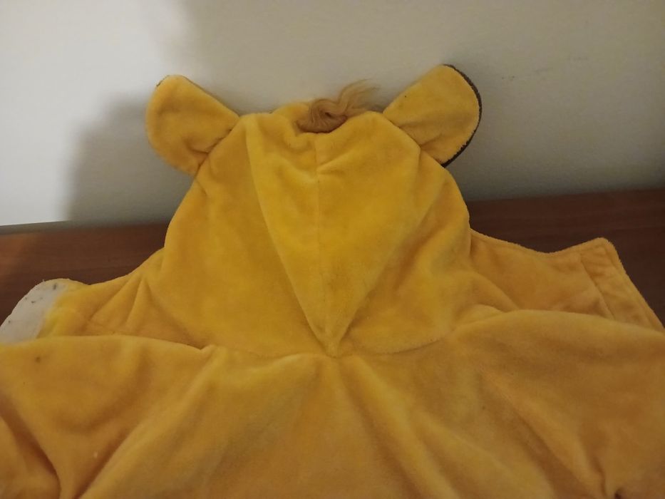 Fantasia para cães marca Disney