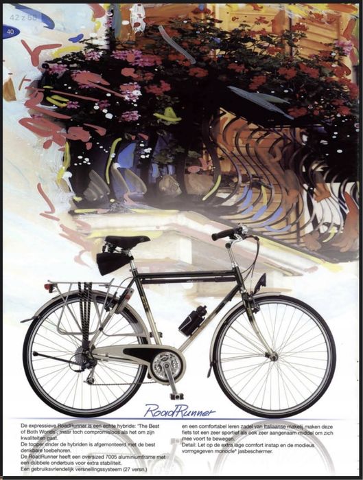 Koga Miyata Roadrunner LX Kiełpin Poduchowny • OLX.pl